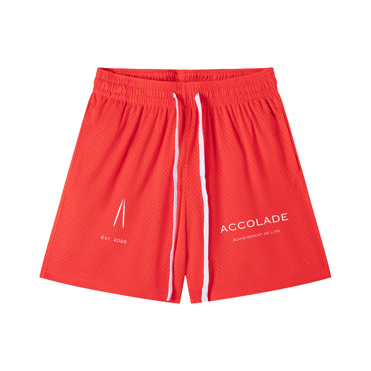 Mesh Drawstring Shorts