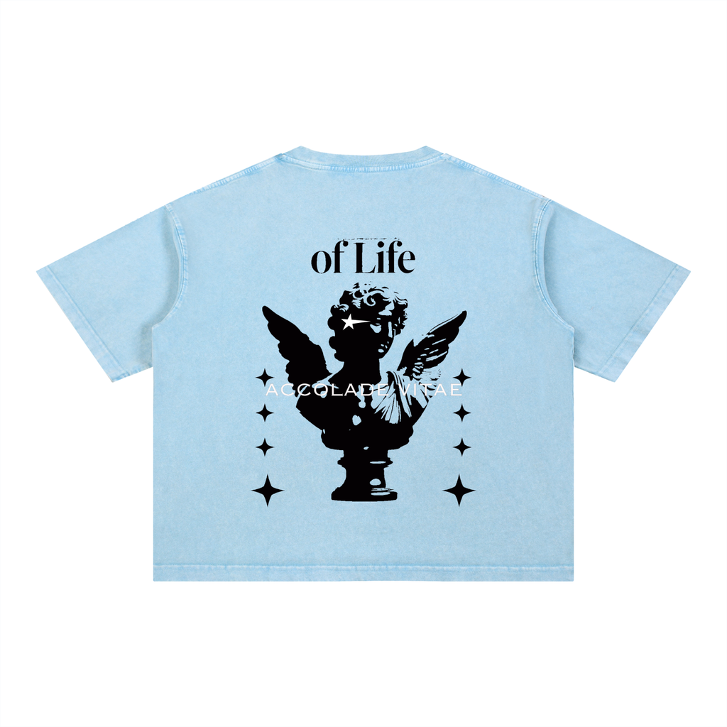 Mineral Wash Boxy Cotton T-Shirt