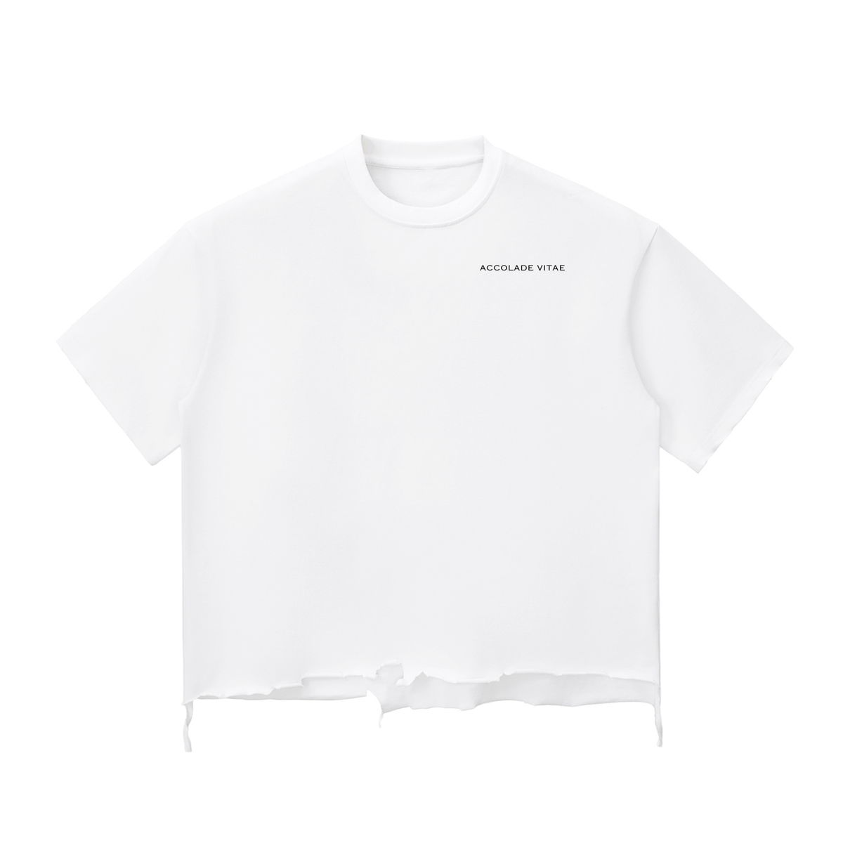 Snow Wash Raw-Hem Boxy T-shirt