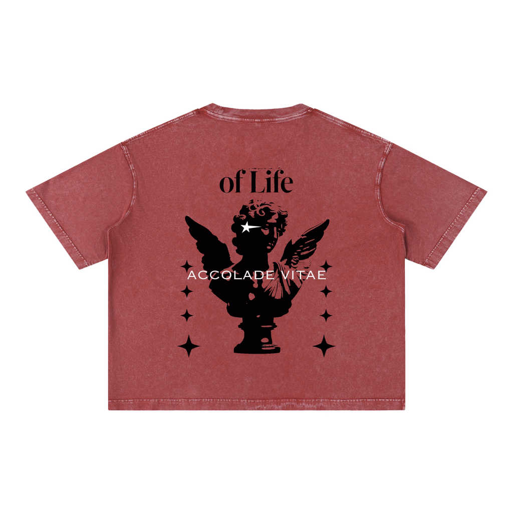Mineral Wash Boxy Cotton T-Shirt