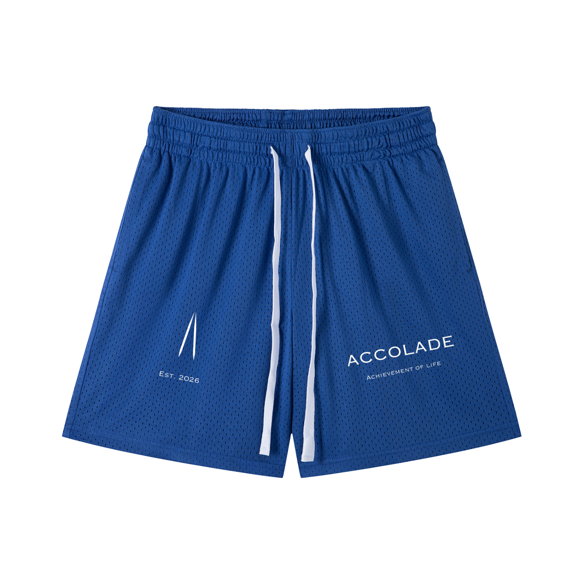 Mesh Drawstring Shorts