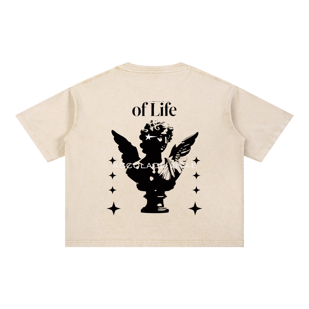 Mineral Wash Boxy Cotton T-Shirt