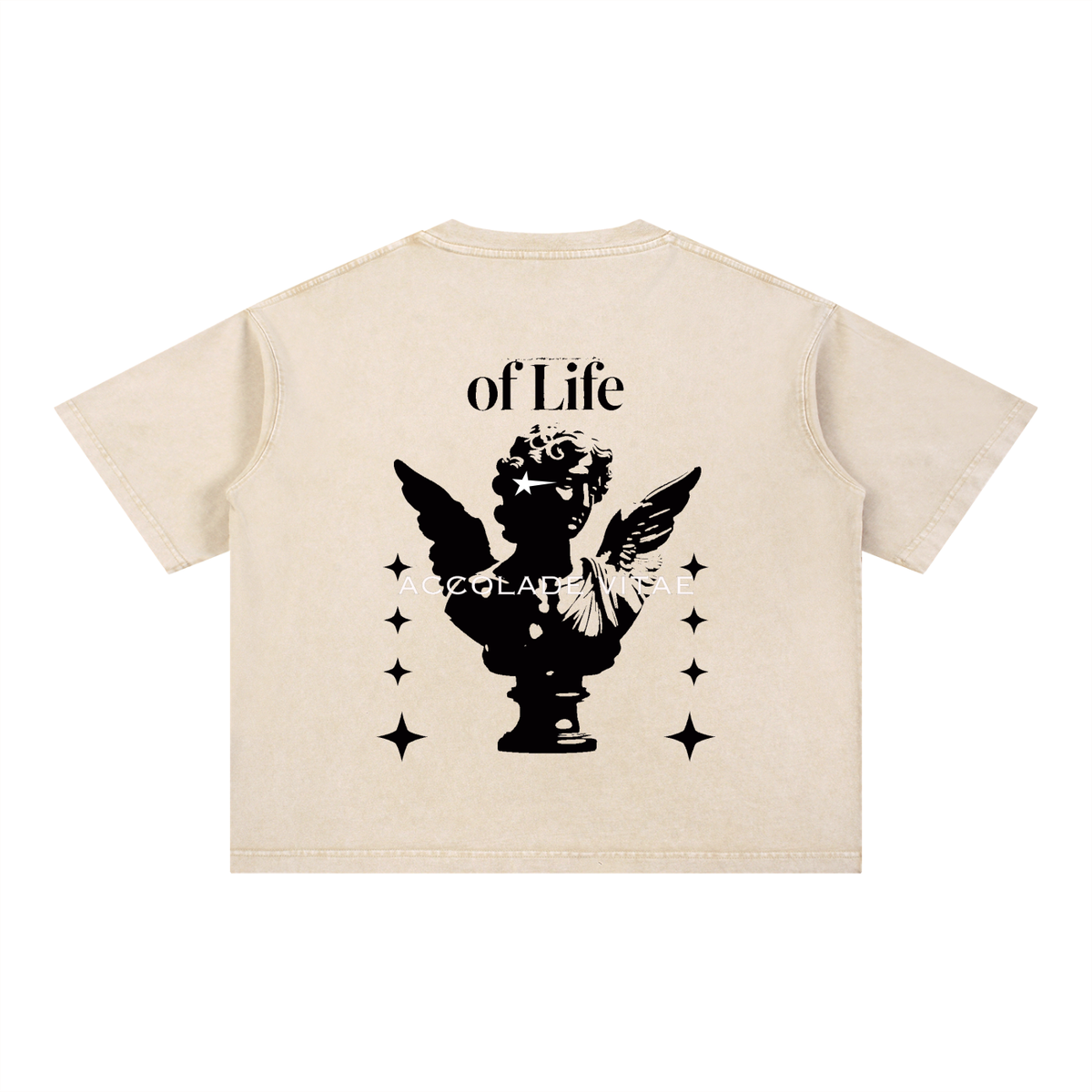 Mineral Wash Boxy Cotton T-Shirt